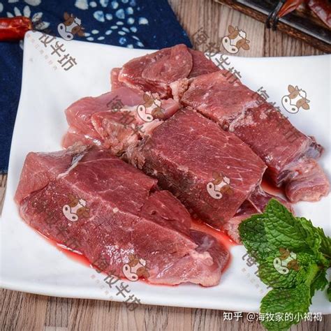 牛肉精禁忌|牛肉的功效與作用及禁忌